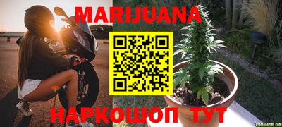 гашик Янаул