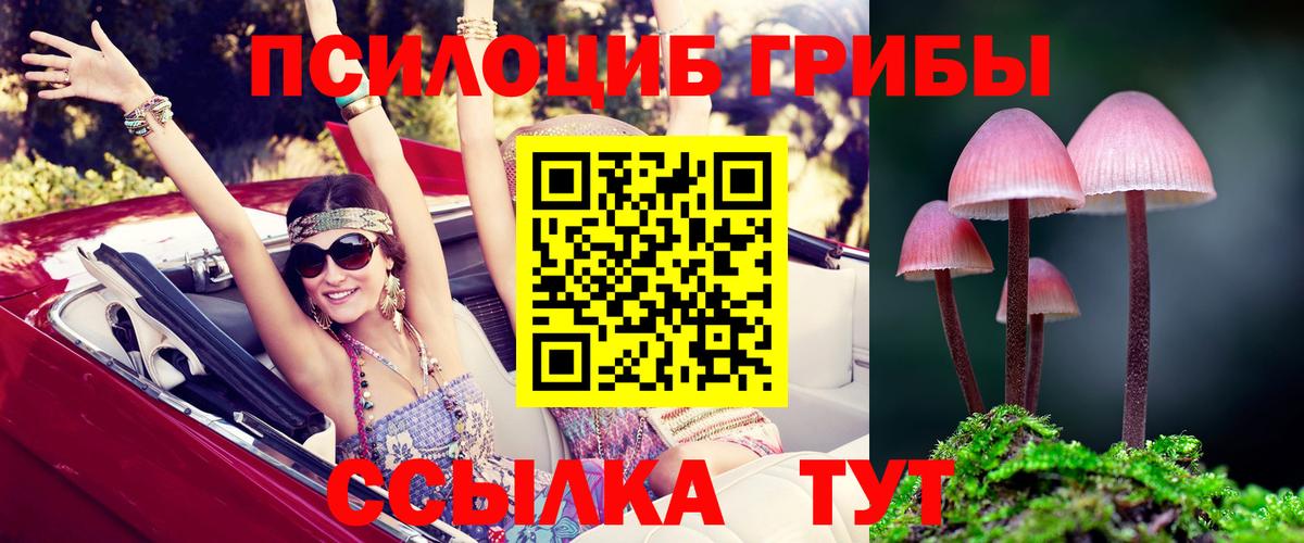 Белово  Галлюциногенные грибы Magic Shrooms  Вход с VPN 