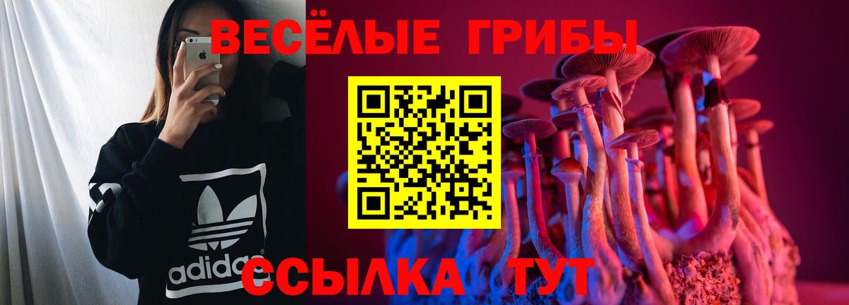 Галлюциногенные грибы прущие грибы Белово
